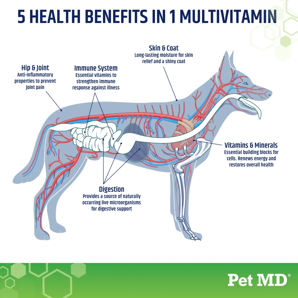 3-Inforgraphic-petmd_1d4e0f2e-1d0c-44b4-a038-bbcb7affe3f4