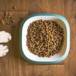 grain free dog food