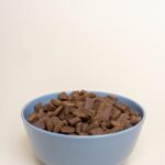 senior dog food
