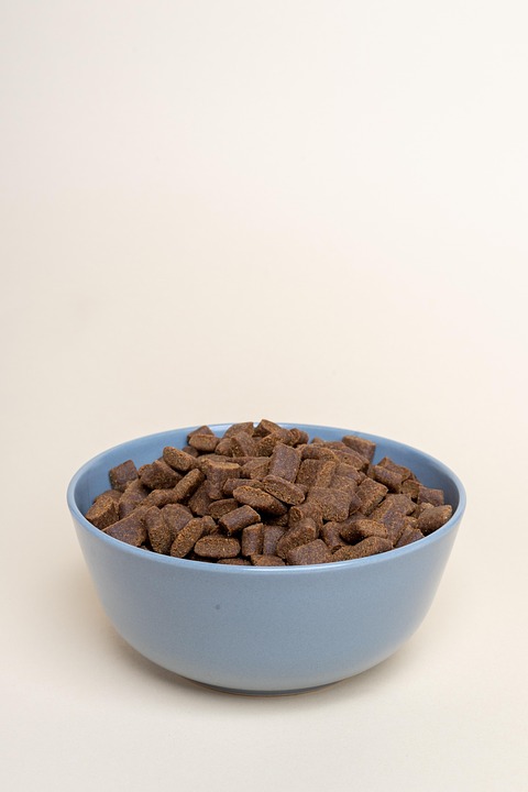 senior dog food