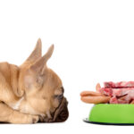 Dog with feeding bowl full of meat and sausage. Image shot 08/2013. Exact date unknown.