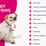 common-allergy-symptoms-in-dogs-scaled-1
