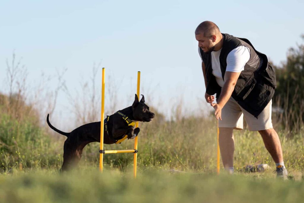 dog-trainer-teaching-dog-run-though-obstacles-1