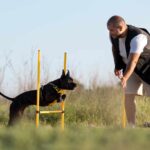 dog-trainer-teaching-dog-run-though-obstacles-1