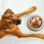 iStock-1343559163