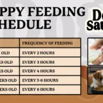 puppy_feeding_schedule