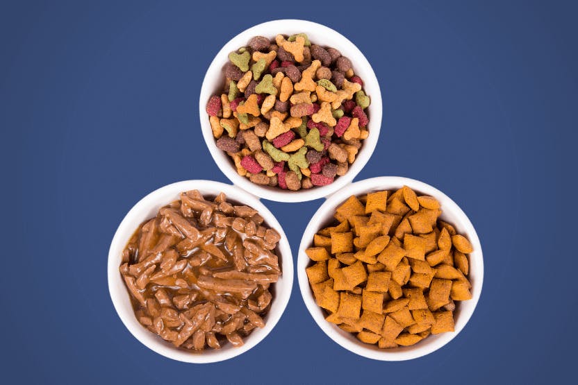 should-i-feed-my-dog-wet-or-dry-food1