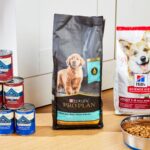 sps-tier-3-primary-best-dog-foods-ahuang-019-a2d580d08b3448919fb068d26edfc8e8